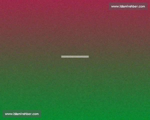 全新体育资讯平台上线每日赛事动态即时更新报道